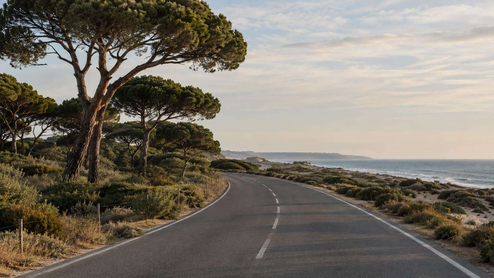 Coastal road through pines and dunes on Portugal’s Atlantic coast