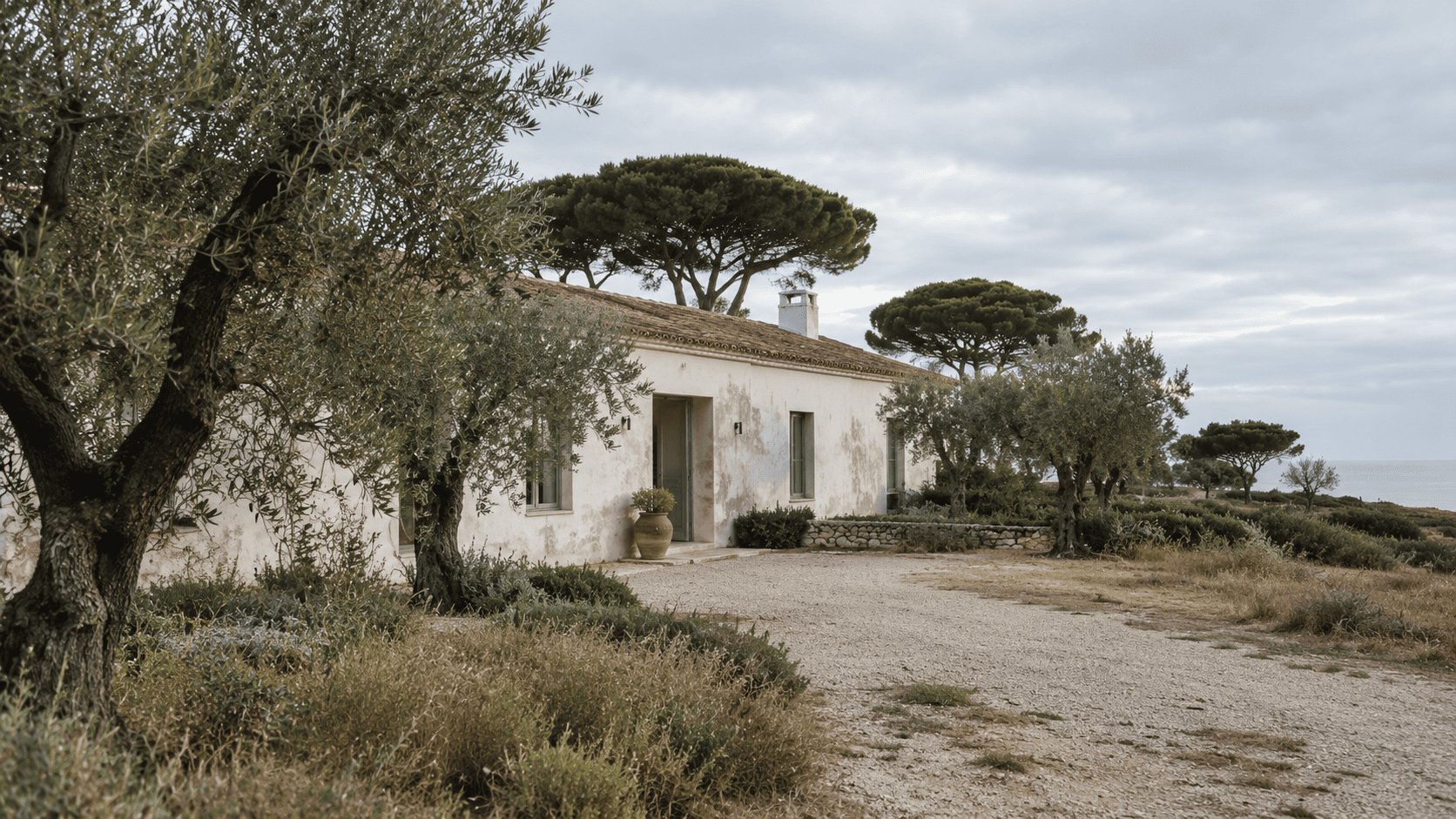 White house among olive trees and pines on the Alentejo coast